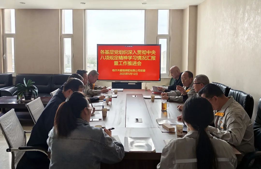 藏格鉀肥黨委召開(kāi)各基層黨組織深入貫徹中央八項(xiàng)規(guī)定精神學(xué)習(xí)情況匯報(bào)暨工作推進(jìn)會(huì)